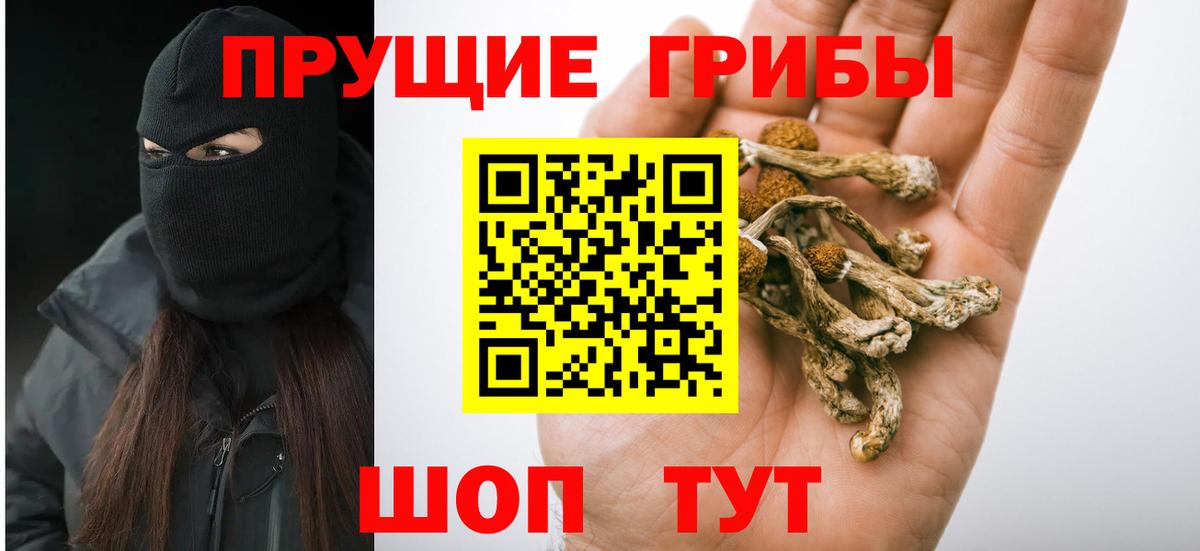 наркотики  Вход с VPN  Мыски  Галлюциногенные грибы прущие грибы 